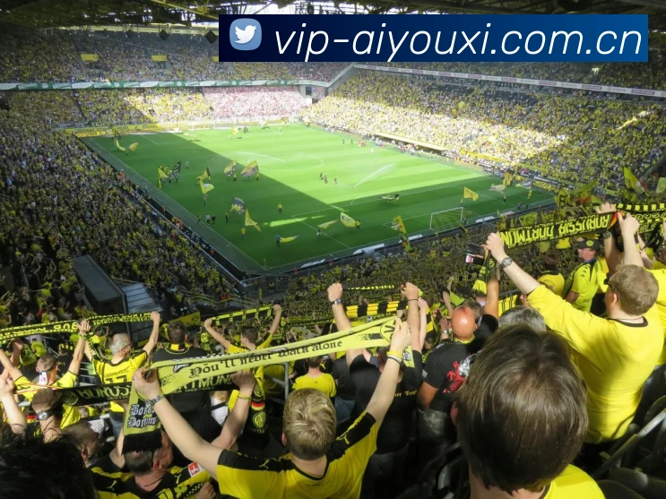 爱游戏平台生态图